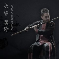دانلود وی اس تی Ample Sound Ample China Dadi v1.0.1 R2R
