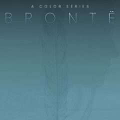 دانلود وی اس تی وکال سینمایی Evolution Series Vocal Colors Bronte KONTAKT