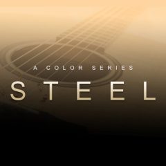 دانلود وی اس تی Evolution Series Prepared Colors Steel KONTAKT