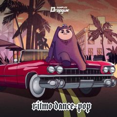 دانلود پکیج لوپ و سمپل Dropgun Samples Ritmo Dance Pop WAV