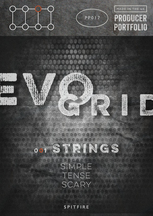 دانلود وی اس تی استرینگ spitfire PP017 Evo Grid Strings