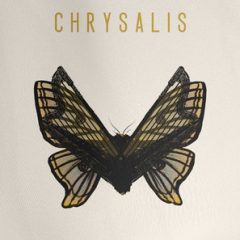 دانلود رایگان وی اس تی Spitfire Audio Samuel Sim Chrysalis KONTAKT با لینک مستقیم