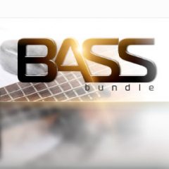 دانلود وی اس تی گیتار باس Ilya Efimov Total Bass Bundle KONTAKT