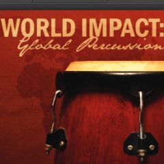 دانلود وی اس تی ساز های پرکاشن  Vir2 World Impact Global Percussion 1.1