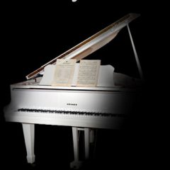 دانلود وی اس تی پیانو Imperfect Samples Hohner White Baby Grand Complete KONTAKT