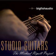 دانلود پکیج لوپ گیتار Big Fish Audio Studio Guitars WAV