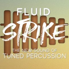 دانلود وی اس تی پرکاشن In Session Audio Fluid Strike Tuned Percussion KONTAKT