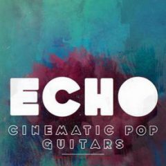 دانلود بانک صدای گیتار Big Fish Audio Dieguis Productions Echo KONTAKT