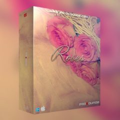 دانلود وی اس تی  هیپ هاپ PROSOUNDZ ROSES KONTAKT LIBRARY