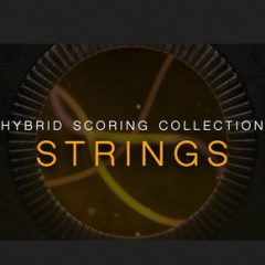 دانلود وی اس تی سینمایی Sonixinema Hybrid Scoring Collection Strings v1.0 KONTAKT