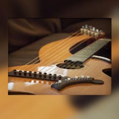 دانلود وی اس تی گیتار هارپ Soundiron Brad Hoyts Harp Guitar KONTAKT