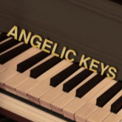 دانلود وی اس تی هارپسیکورد Orange Tree Samples Angelic Keys KONTAKT
