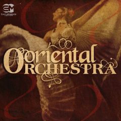 دانلود لوپ های استرینگ خاورمیانه Earth Moments Oriental Orchestra WAV