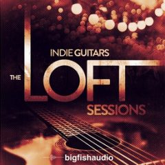 دانلود بانک صدای گیتار Big Fish Audio Indie Guitars The Loft Sessions MULTiFORMAT
