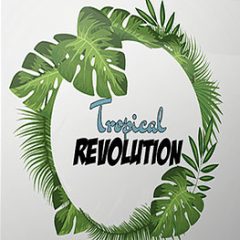 دانلود پکیج Evolution Of Sound Tropical Revolution WAV MiDi FLP Ableton