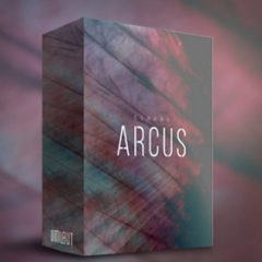 دانلود وی اس تی Umlaut Audio Arcus KONTAKT
