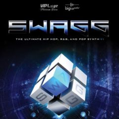 دانلود وی اس تی Big Fish Audio and VIP Loops SWAGG KONTAKT