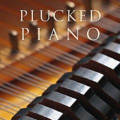 دانلود وی اس تی پیانو Spitfire Audio Plucked Piano KONTAKT