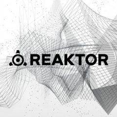 دانلود نسخه مک وی اس تی Native Instruments Reaktor v6.2.2 + Factory Library 1.1 MacOSX
