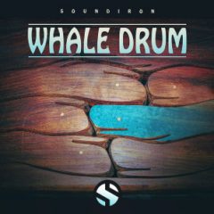 دانلود وی اس تی پرکاشن Soundiron Whale Drum KONTAKT