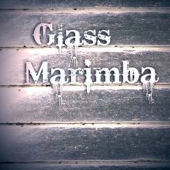 دانلود وی اس تی پرکاشن ۸DIO Glass Marimba