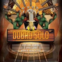 دانلود وی اس تی گیتار دوبرو ۸DIO Dobro Solo KONTAKT