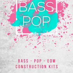 دانلود پکیج لوپ Big Fish Audio Bass Pop EDM MULTiFORMAT