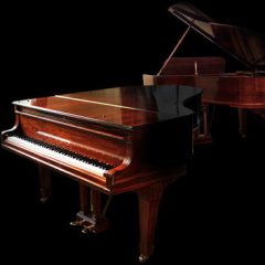 دانلود وی اس تی پیانو Imperfect Samples Steinway Walnut Concert Grand Pro KONTAKT