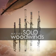 دانلود وی اس تی بادی چوبی Auddict Master Solo Woodwinds Bundle KONTAKT
