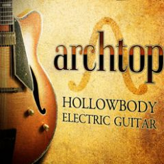 دانلود وی اس تی Impact Soundworks Archtop Hollowbody Electric Guitar V.1.1 KONTAKT