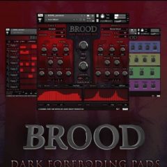 دانلود وی اس تی پد ارکسترال Audio Reward Brood v1.2 KONTAKT