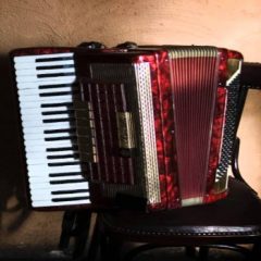 دانلود وی اس تی آکوردئون Ilya Efimov Accordion KONTAKT