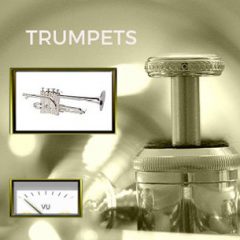 دانلود وی اس تی ساز بادی برنجی ترومپت Lyrebird Sounds Trumpets KONTAKT