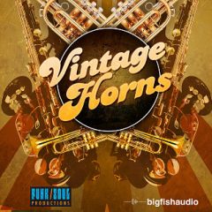 دانلود وی اس تی بادی برنجی Big Fish Audio Vintage Horns KONTAKT