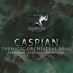 دانلود وی اس تی ساز های بادی برنجی Performance Samples Caspian KONTAKT
