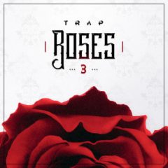 دانلود پکیج لوپ و سمپل ترپ Diginoiz Trap Roses 3 WAV