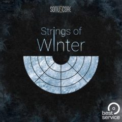 دانلود وی اس تی استرینگ Best Service TO – Strings of Winter KONTAKT