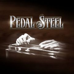 دانلود وی اس تی Impact Soundworks Pedal Steel KONTAKT