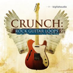 دانلود پکیج لوپ گیتار راک Big Fish Audio Crunch Rock Guitar Loops WAV