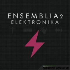 دانلود وی اس تی تولید ریتم Cinematique Instruments Ensemblia 2 Elektronika KONTAKT
