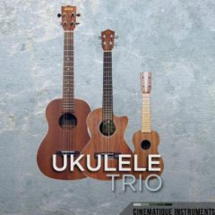 دانلود وی اس تی گیتار یوکللی Cinematique Instruments Ukulele Trio KONTAKT