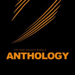 دانلود وی اس تی استرینگ ۸Dio The New Anthology Strings Instrument KONTAKT