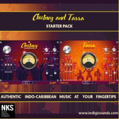 دانلود وی اس تی پرکاشن هندی Indigisounds Chutney and Tassa Starter Pack KONTAKT