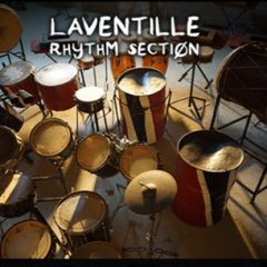 دانلود وی اس تی ریتم Indigisounds Laventille Rhythm Section KONTAKT