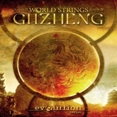 دانلود وی اس تی ساز استرینگ چینی Evolution Series World Strings Guzheng KONTAKT