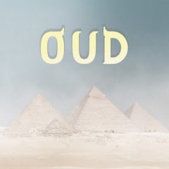 دانلود وی اس تی عود Evolution Series World Strings Oud KONTAKT