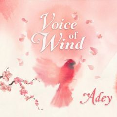 دانلود وی اس تی وکال Soundiron Voice of Wind Adey KONTAKT