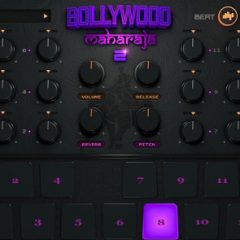 دانلود وی اس تی درام هیپ هاپ BeatSkillz Bollywood Maharaja v2.0 [WiN-OSX]