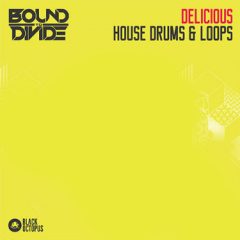 دانلود پکیج لوپ و سمپل درام Black Octopus Sound Delicious House Drums and Loops WAV