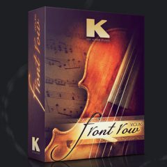 دانلود وی اس تی ویولن Kirk Hunter Front Row Violins KONTAKT